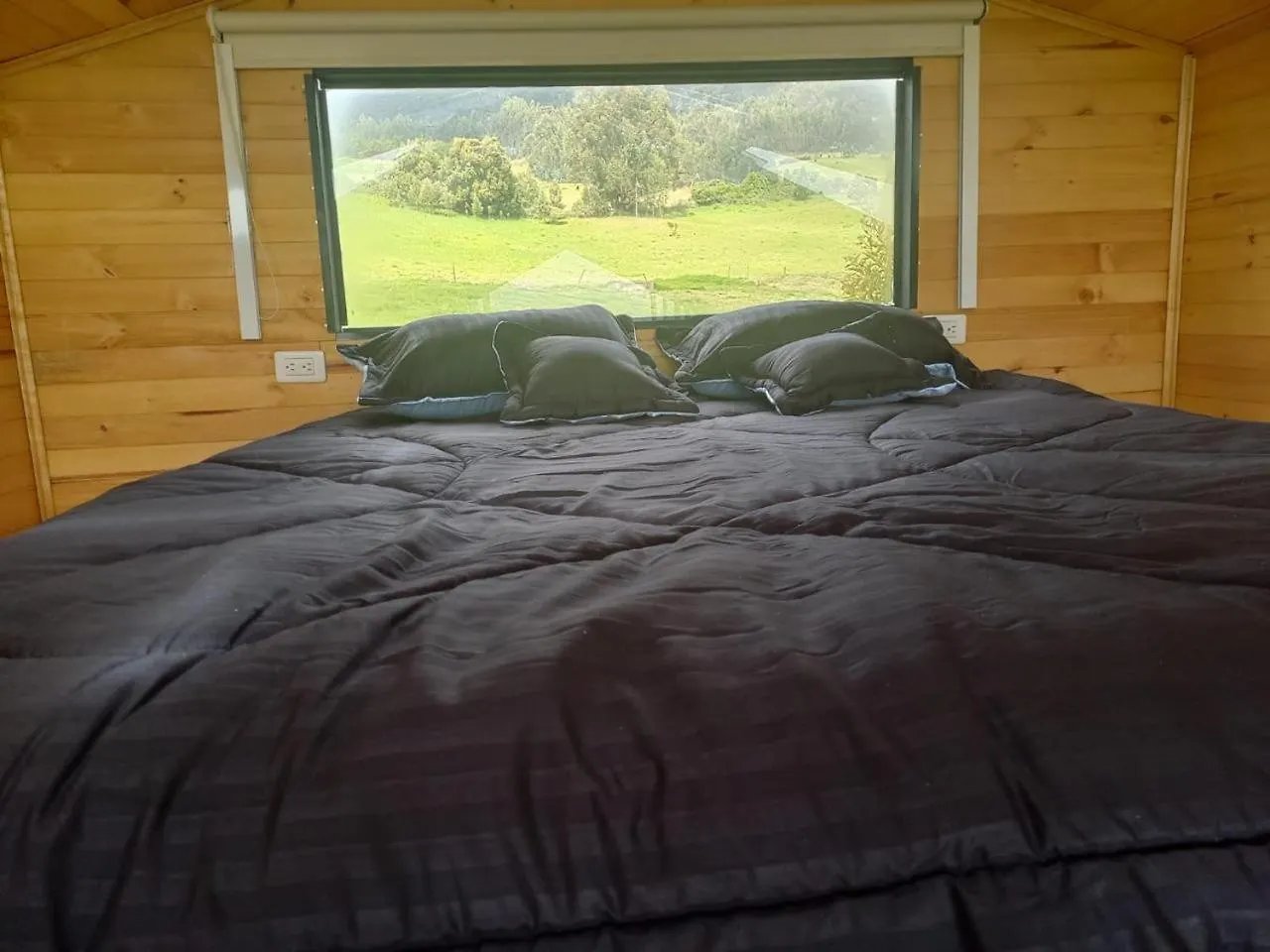 Habitación con vista