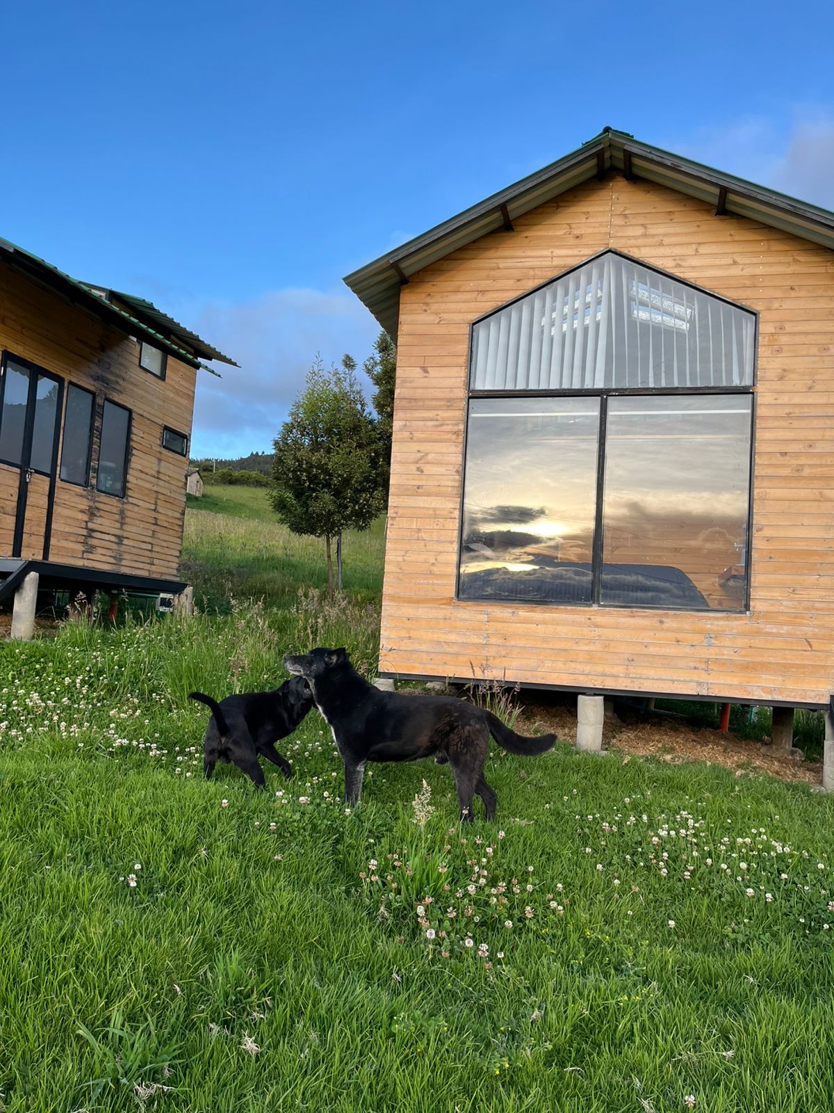 Cabañas con jardín